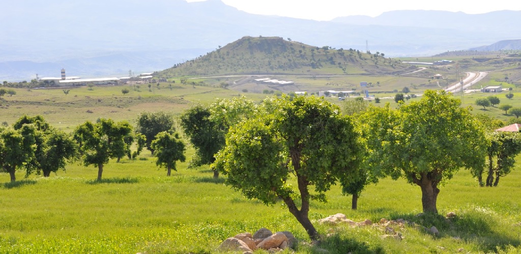 Blog Yazısı Görseli 1