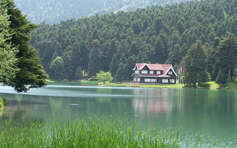 Blog Yazısı Görseli 1